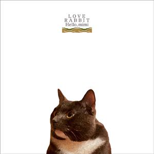 国产成人午夜毛片在线
